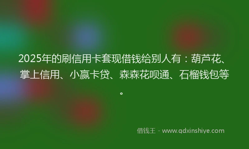2025年的刷信用卡套现借钱给别人有：葫芦花、掌上信用、小赢卡贷、森森花呗通、石榴钱包等。