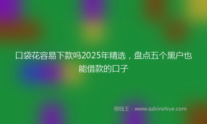 口袋花容易下款吗2025年精选，盘点五个黑户也能借款的口子