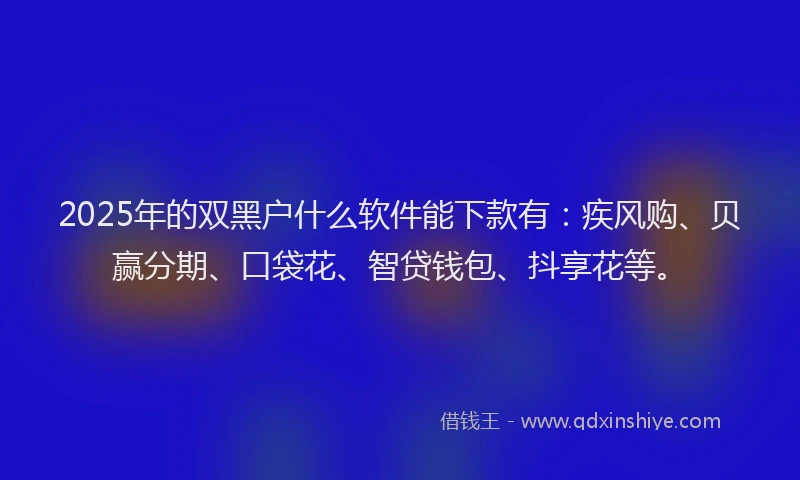 2025年的双黑户什么软件能下款有：疾风购、贝赢分期、口袋花、智贷钱包、抖享花等。