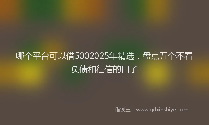 哪个平台可以借5002025年精选，盘点五个不看负债和征信的口子