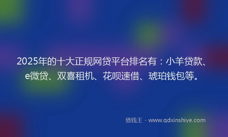 2025年的十大正规网贷平台排名有：小羊贷款、e微贷、双喜租机、花呗速借、琥珀钱包等。