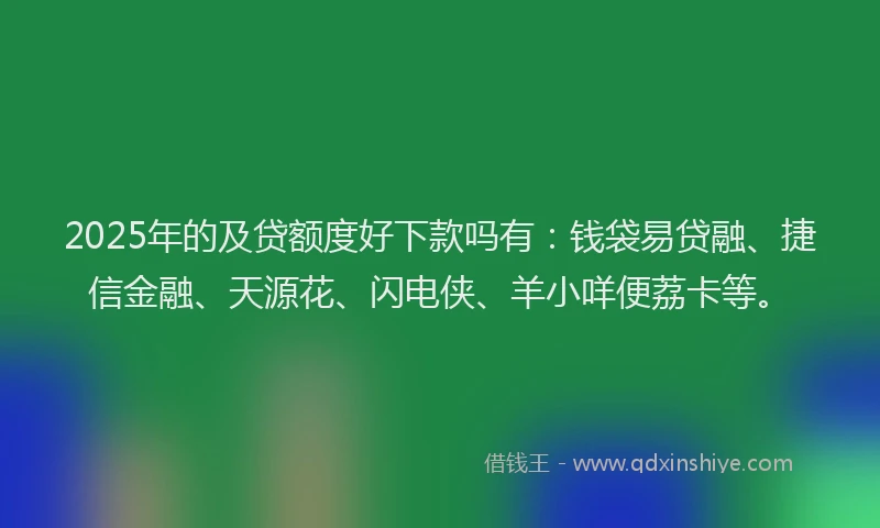2025年的及贷额度好下款吗有：钱袋易贷融、捷信金融、天源花、闪电侠、羊小咩便荔卡等。