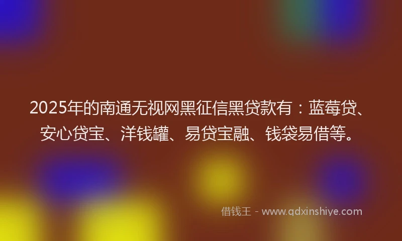 2025年的南通无视网黑征信黑贷款有：蓝莓贷、安心贷宝、洋钱罐、易贷宝融、钱袋易借等。
