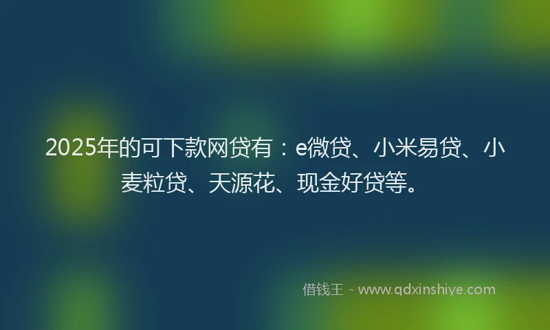 2025年的可下款网贷有：e微贷、小米易贷、小麦粒贷、天源花、现金好贷等。