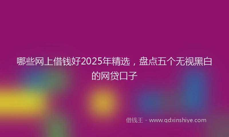 哪些网上借钱好2025年精选，盘点五个无视黑白的网贷口子