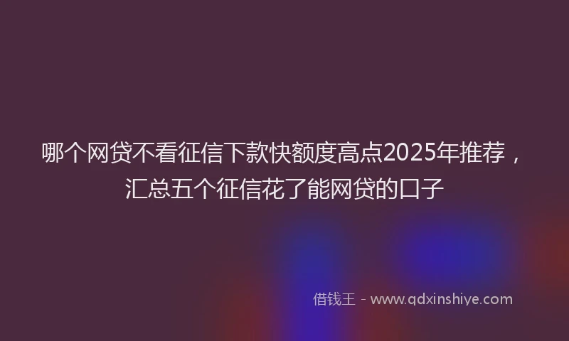 哪个网贷不看征信下款快额度高点2025年推荐，汇总五个征信花了能网贷的口子