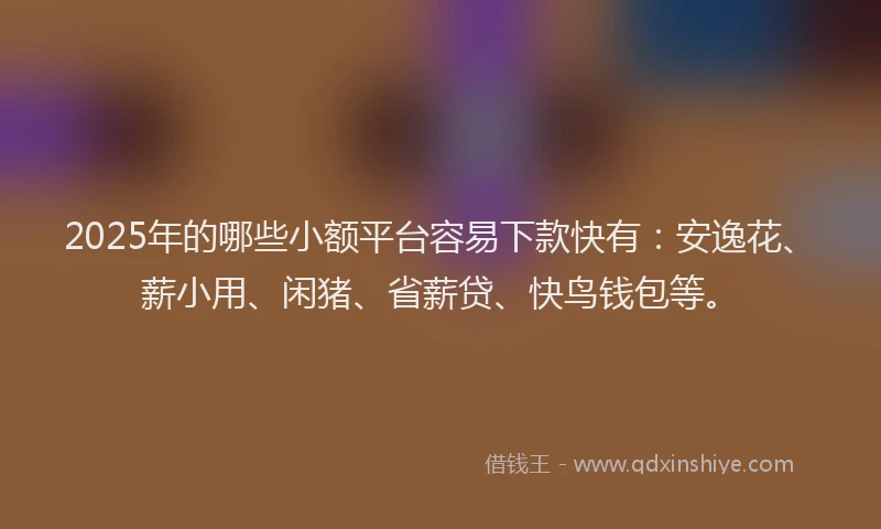 2025年的哪些小额平台容易下款快有：安逸花、薪小用、闲猪、省薪贷、快鸟钱包等。