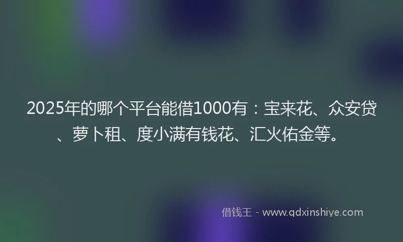 2025年的哪个平台能借1000有：宝来花、众安贷、萝卜租、度小满有钱花、汇火佑金等。