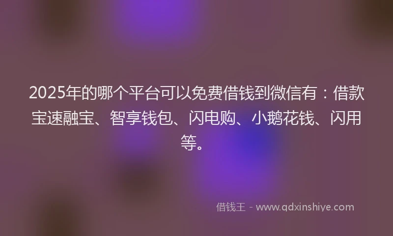 2025年的哪个平台可以免费借钱到微信有：借款宝速融宝、智享钱包、闪电购、小鹅花钱、闪用等。