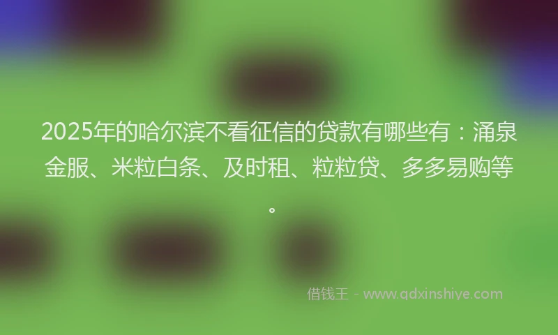 2025年的哈尔滨不看征信的贷款有哪些有：涌泉金服、米粒白条、及时租、粒粒贷、多多易购等。