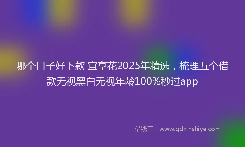 哪个口子好下款 宜享花2025年精选，梳理五个借款无视黑白无视年龄100%秒过app