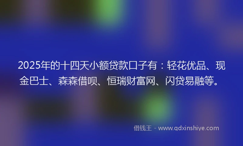 2025年的十四天小额贷款口子有：轻花优品、现金巴士、森森借呗、恒瑞财富网、闪贷易融等。