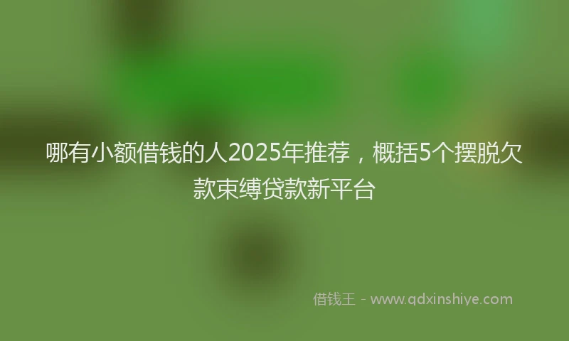 哪有小额借钱的人2025年推荐，概括5个摆脱欠款束缚贷款新平台