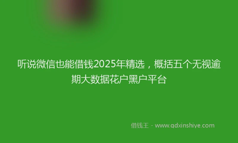 听说微信也能借钱2025年精选，概括五个无视逾期大数据花户黑户平台