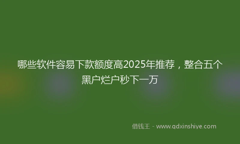 哪些软件容易下款额度高2025年推荐，整合五个黑户烂户秒下一万
