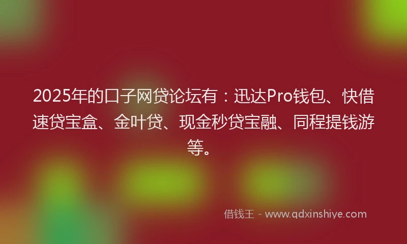 2025年的口子网贷论坛有：迅达Pro钱包、快借速贷宝盒、金叶贷、现金秒贷宝融、同程提钱游等。