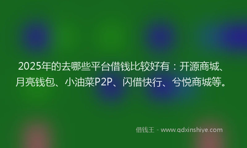 2025年的去哪些平台借钱比较好有：开源商城、月亮钱包、小油菜P2P、闪借快行、兮悦商城等。
