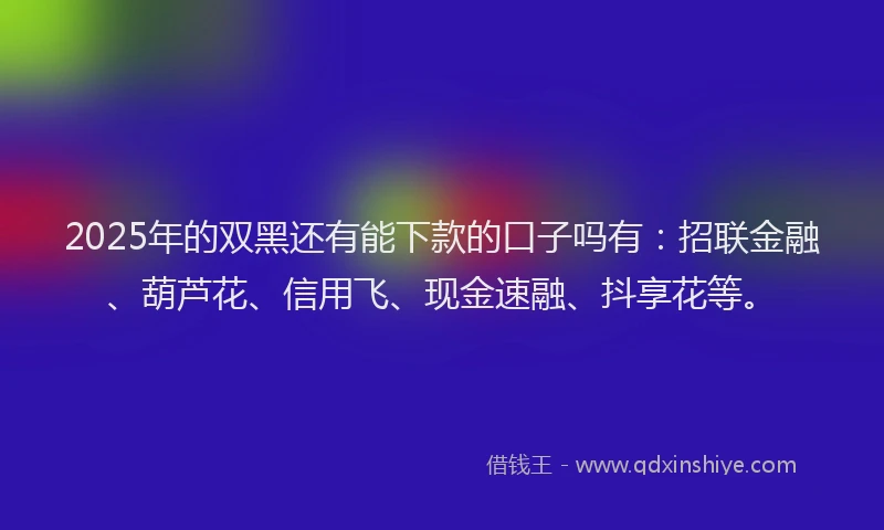 2025年的双黑还有能下款的口子吗有：招联金融、葫芦花、信用飞、现金速融、抖享花等。