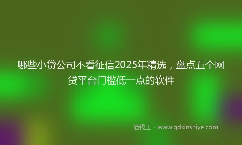 哪些小贷公司不看征信2025年精选，盘点五个网贷平台门槛低一点的软件