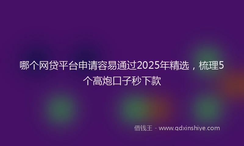 哪个网贷平台申请容易通过2025年精选，梳理5个高炮口子秒下款