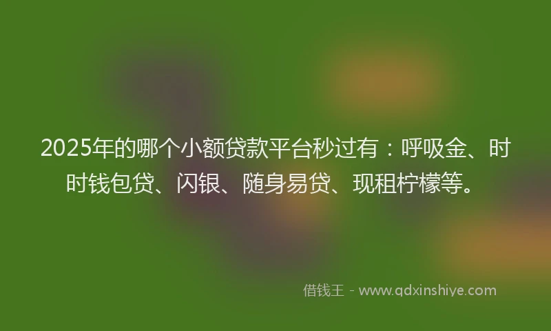 2025年的哪个小额贷款平台秒过有：呼吸金、时时钱包贷、闪银、随身易贷、现租柠檬等。