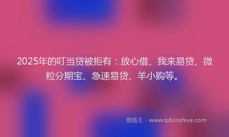 2025年的叮当贷被拒有：放心借、我来易贷、微粒分期宝、急速易贷、羊小购等。