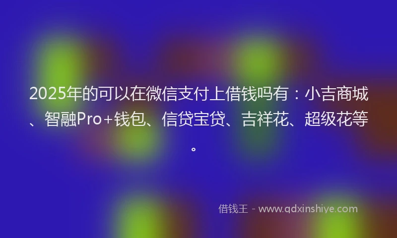 2025年的可以在微信支付上借钱吗有：小吉商城、智融Pro+钱包、信贷宝贷、吉祥花、超级花等。
