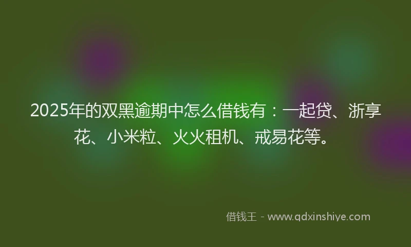 2025年的双黑逾期中怎么借钱有：一起贷、浙享花、小米粒、火火租机、戒易花等。