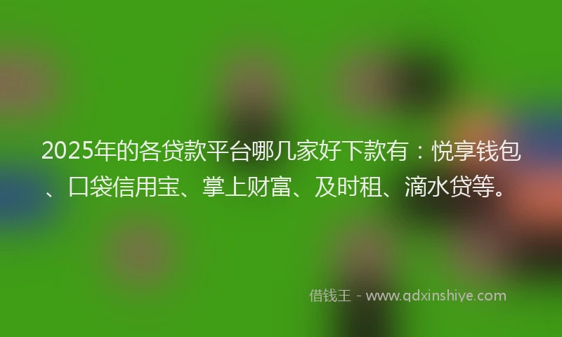2025年的各贷款平台哪几家好下款有：悦享钱包、口袋信用宝、掌上财富、及时租、滴水贷等。