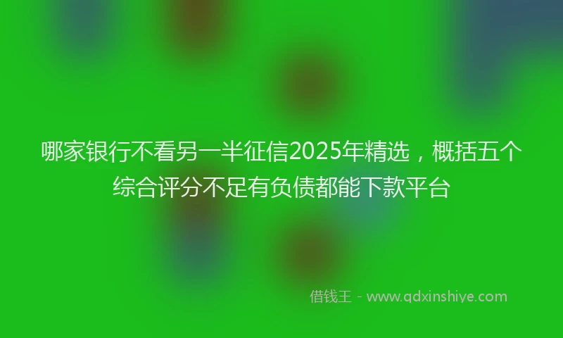 哪家银行不看另一半征信2025年精选，概括五个综合评分不足有负债都能下款平台