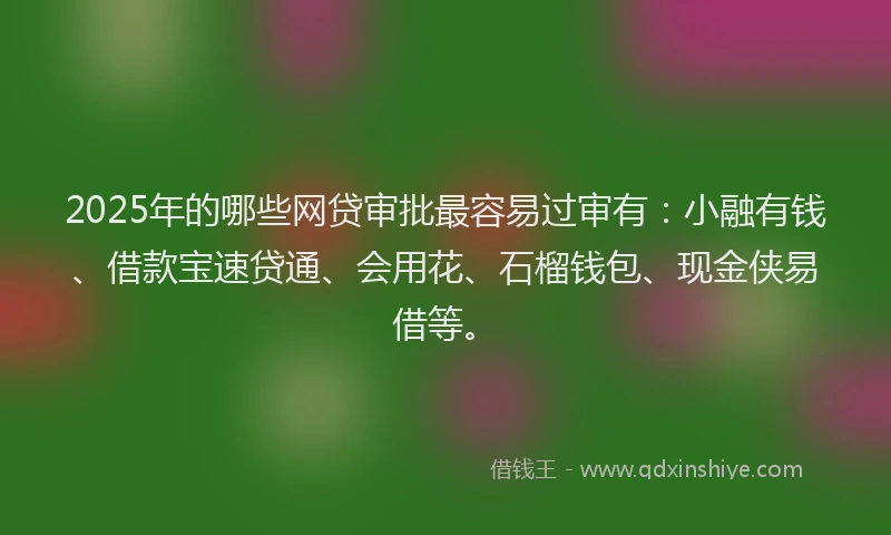 2025年的哪些网贷审批最容易过审有：小融有钱、借款宝速贷通、会用花、石榴钱包、现金侠易借等。