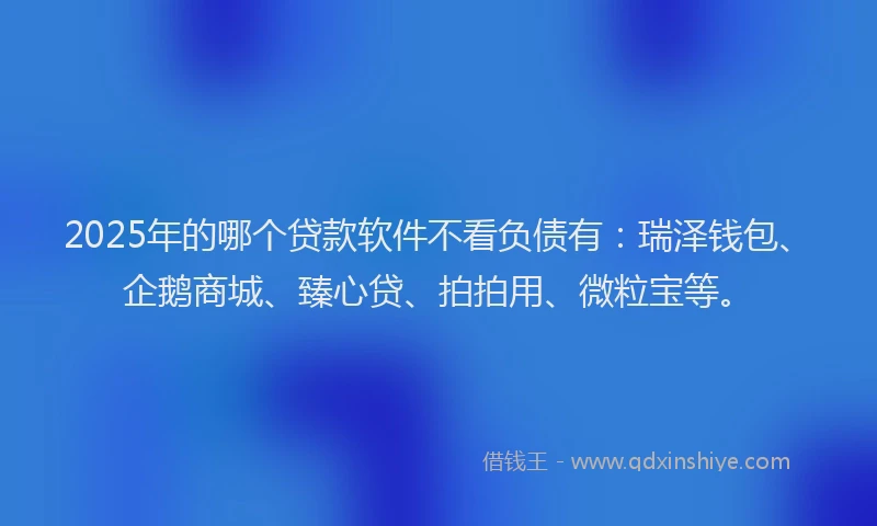2025年的哪个贷款软件不看负债有：瑞泽钱包、企鹅商城、臻心贷、拍拍用、微粒宝等。