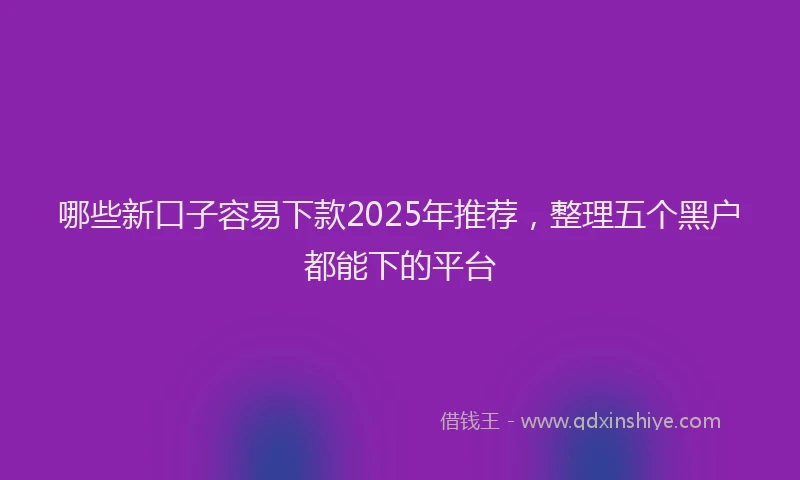 哪些新口子容易下款2025年推荐，整理五个黑户都能下的平台