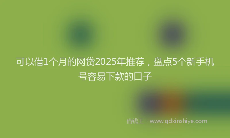 可以借1个月的网贷2025年推荐，盘点5个新手机号容易下款的口子