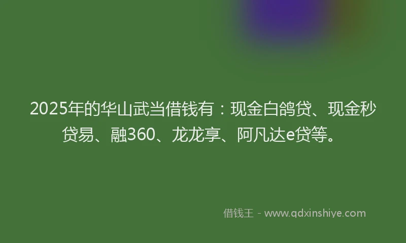 2025年的华山武当借钱有：现金白鸽贷、现金秒贷易、融360、龙龙享、阿凡达e贷等。