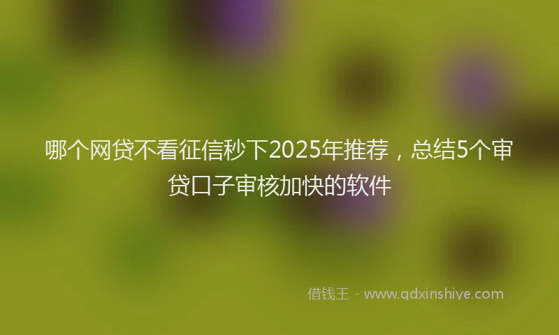 哪个网贷不看征信秒下2025年推荐，总结5个审贷口子审核加快的软件