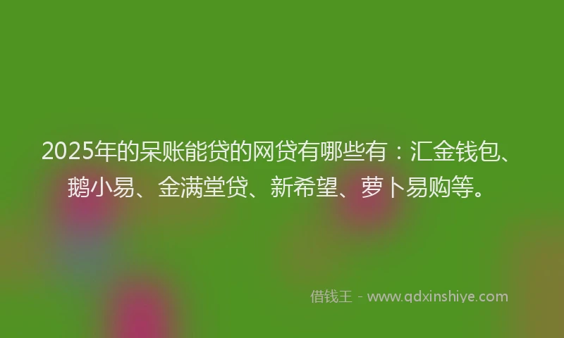 2025年的呆账能贷的网贷有哪些有：汇金钱包、鹅小易、金满堂贷、新希望、萝卜易购等。