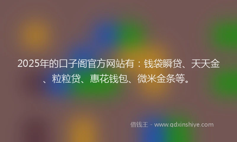 2025年的口子阁官方网站有：钱袋瞬贷、天天金、粒粒贷、惠花钱包、微米金条等。