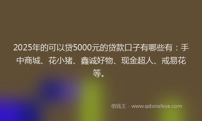2025年的可以贷5000元的贷款口子有哪些有：手中商城、花小猪、鑫诚好物、现金超人、戒易花等。