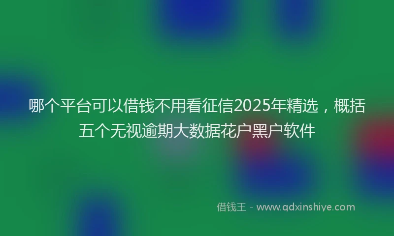 哪个平台可以借钱不用看征信2025年精选，概括五个无视逾期大数据花户黑户软件