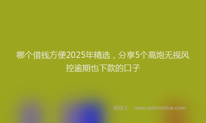 哪个借钱方便2025年精选，分享5个高炮无视风控逾期也下款的口子
