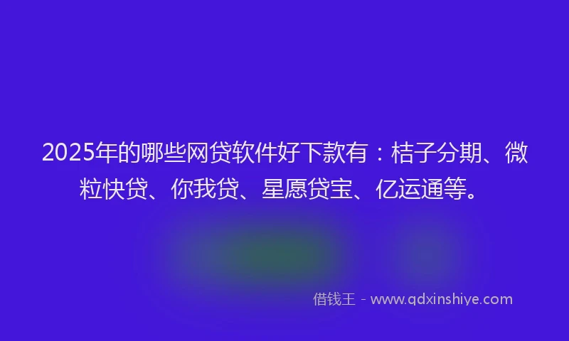 2025年的哪些网贷软件好下款有：桔子分期、微粒快贷、你我贷、星愿贷宝、亿运通等。