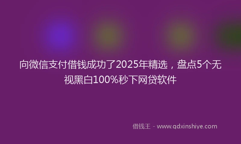向微信支付借钱成功了2025年精选，盘点5个无视黑白100%秒下网贷软件