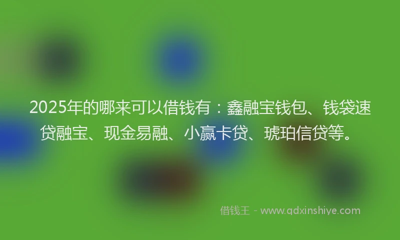 2025年的哪来可以借钱有：鑫融宝钱包、钱袋速贷融宝、现金易融、小赢卡贷、琥珀信贷等。