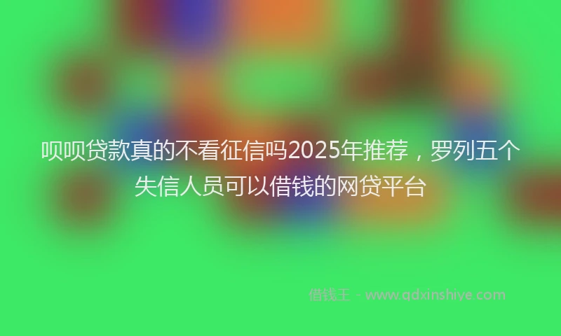 呗呗贷款真的不看征信吗2025年推荐，罗列五个失信人员可以借钱的网贷平台