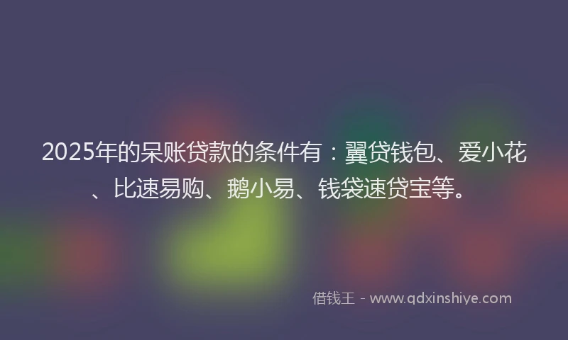 2025年的呆账贷款的条件有：翼贷钱包、爱小花、比速易购、鹅小易、钱袋速贷宝等。