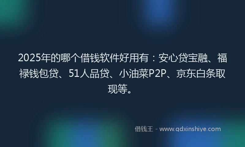 2025年的哪个借钱软件好用有：安心贷宝融、福禄钱包贷、51人品贷、小油菜P2P、京东白条取现等。