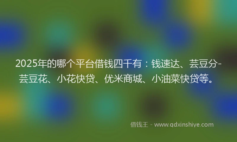 2025年的哪个平台借钱四千有：钱速达、芸豆分-芸豆花、小花快贷、优米商城、小油菜快贷等。