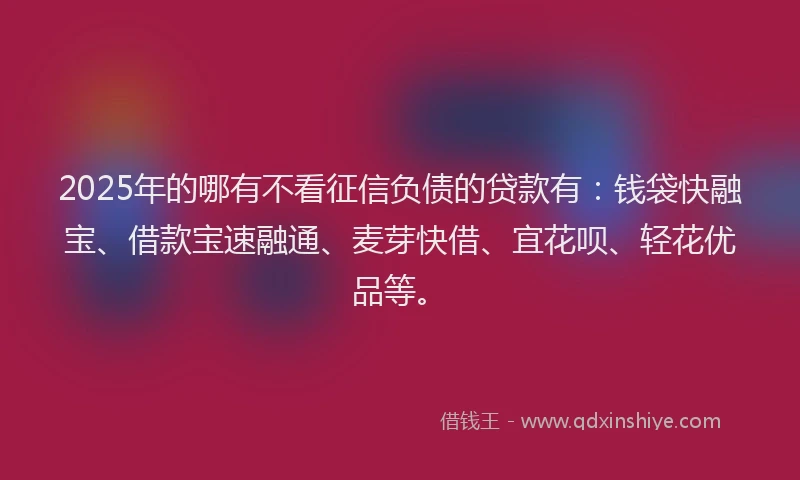 2025年的哪有不看征信负债的贷款有：钱袋快融宝、借款宝速融通、麦芽快借、宜花呗、轻花优品等。