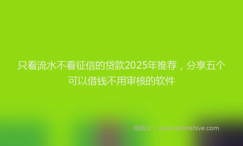 只看流水不看征信的贷款2025年推荐，分享五个可以借钱不用审核的软件